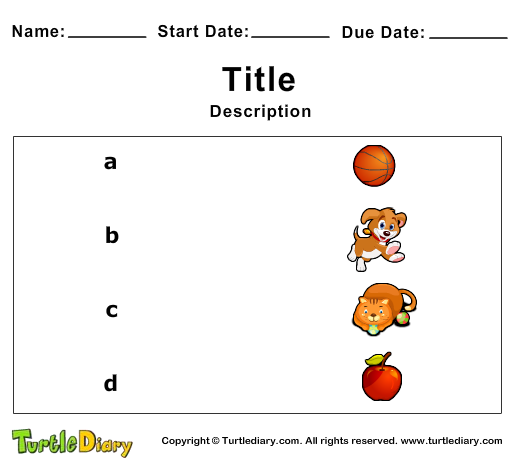 Matching Quiz Maker - Turtle Diary