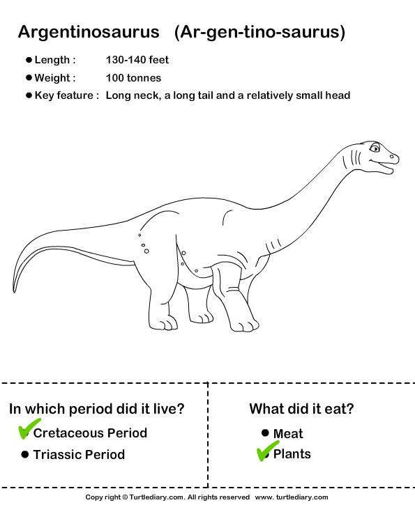 Dinosaurs - Determine the Period and Food Habits Answer