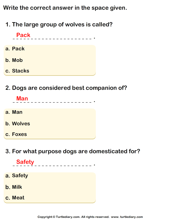 Dog Family: Write the Correct Answer Answer