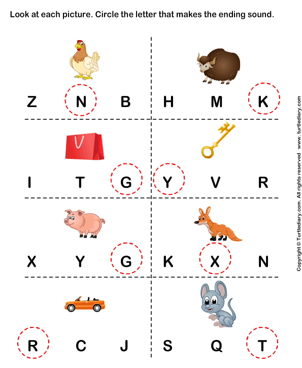Identify the Beginning Sound of Words Answer