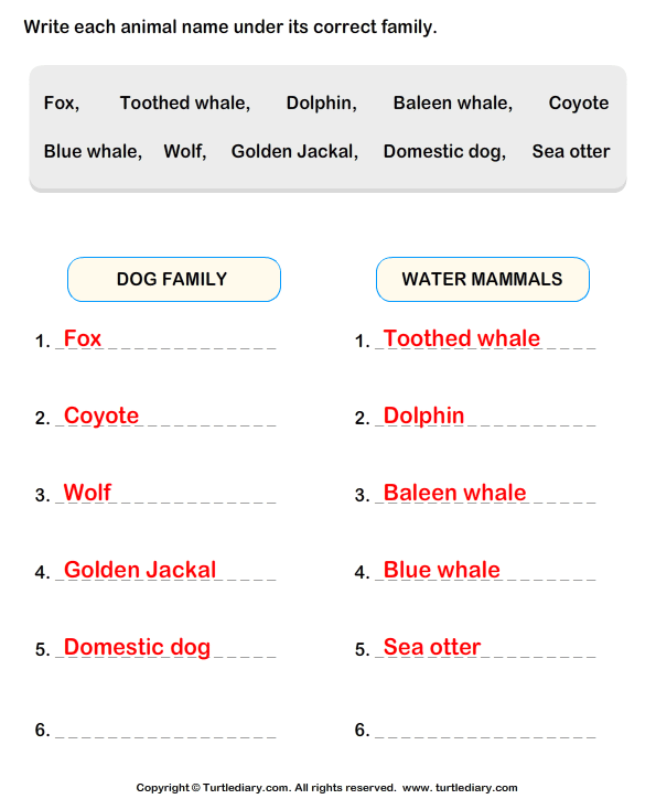 Categorize the Animals Answer