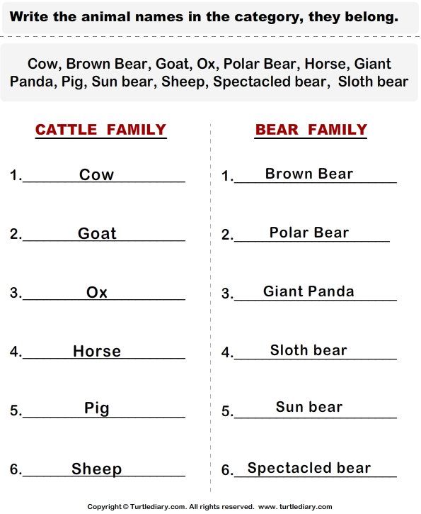 Cattle - Categorize the Animals Answer