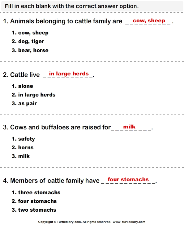Cattle Family: Write the Correct Answer Answer