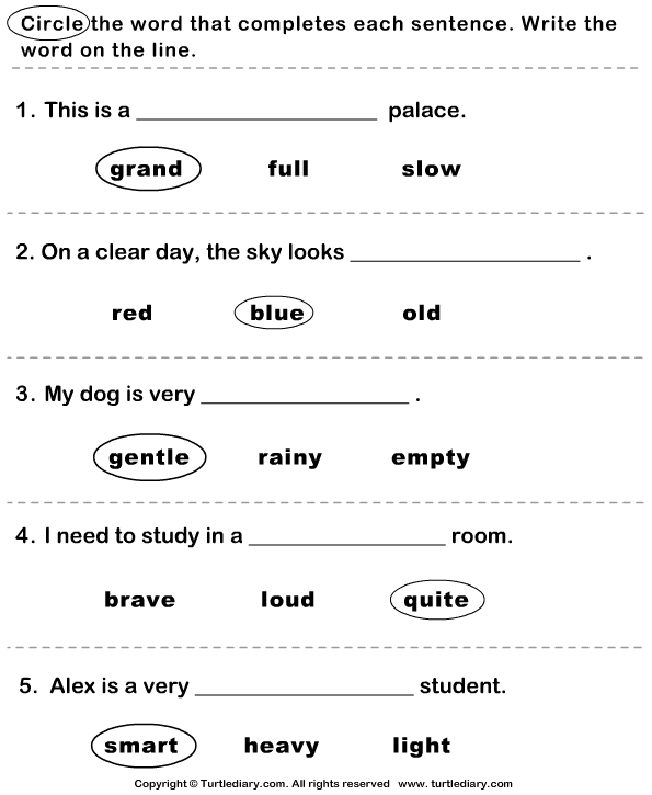 Find the Correct Adjective Answer