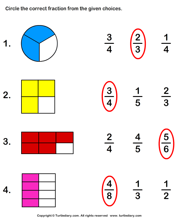What Fraction Does the Shape Show? Answer