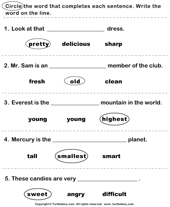 Find the Correct Adjective Answer