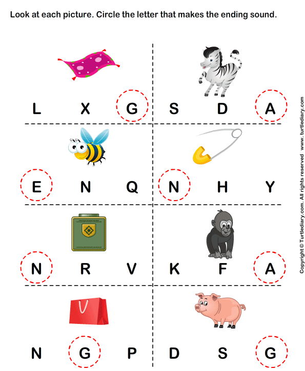 Identify the Beginning Sound of Words Answer