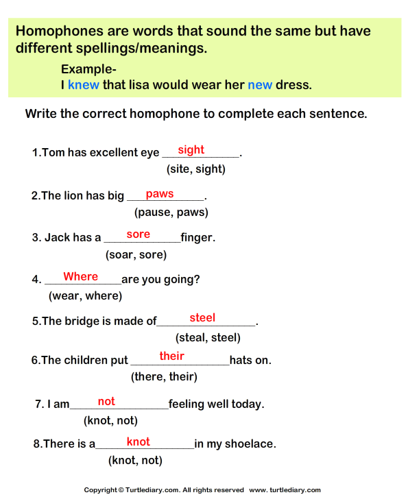 Complete the Sentences with Correct Homophone Answer
