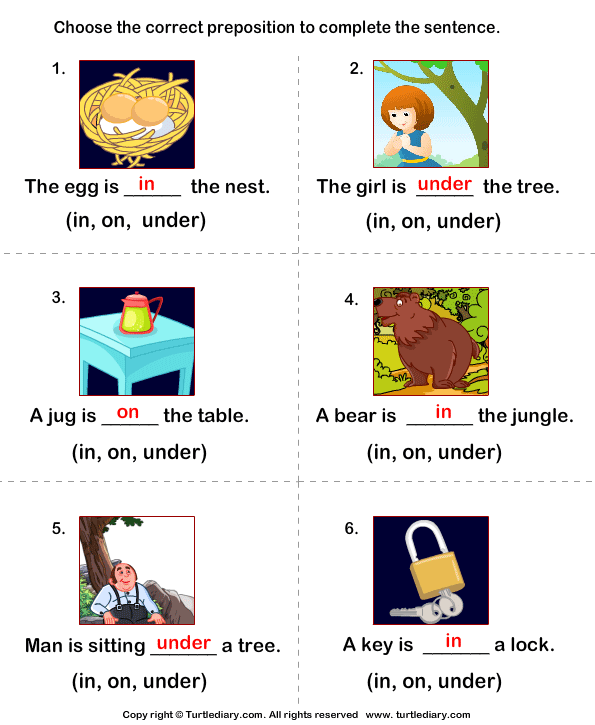 Complete the Sentences Using in, on, and Under Answer