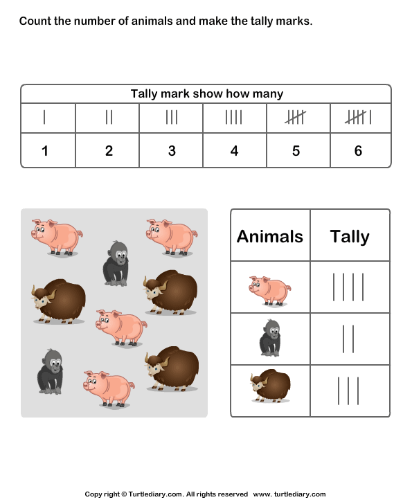 Record Data with Tally Charts Answer