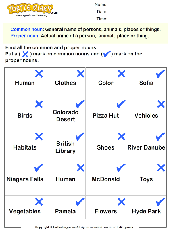 Identify Common and Proper Nouns Answer