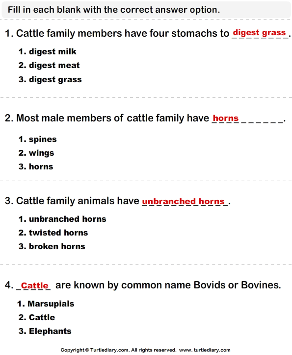 Cattle Family: Write the Correct Answer Answer