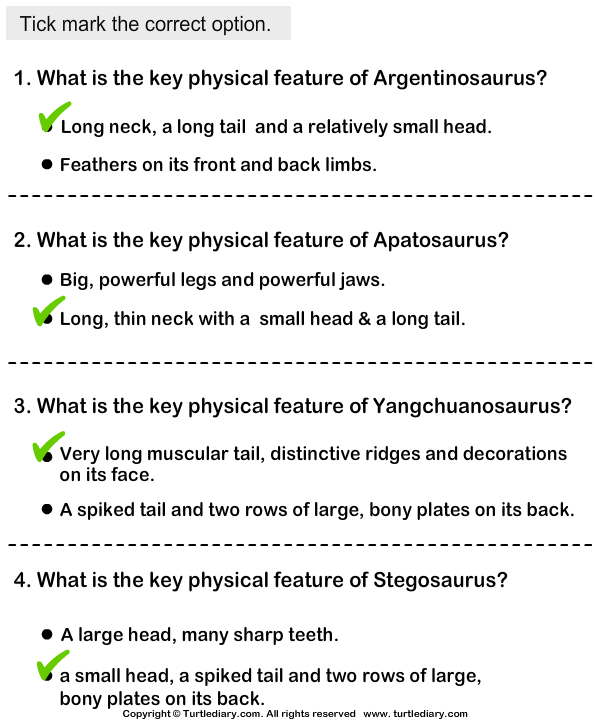 Dinosaurs - Identify the Physical Features Answer