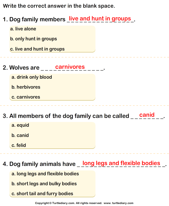 Dog Family: Write the Correct Answer Answer
