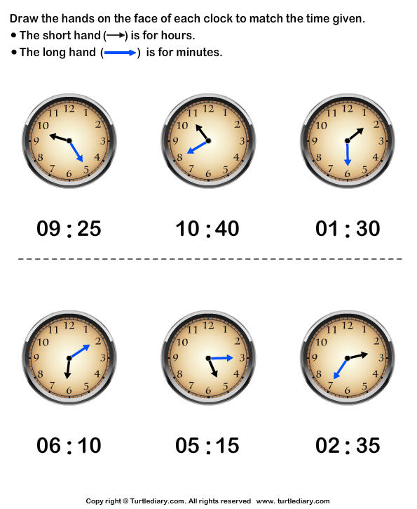Draw Minute and Hour Hands of Clock Answer