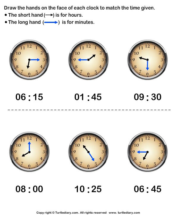 Draw Minute and Hour Hands of Clock Answer