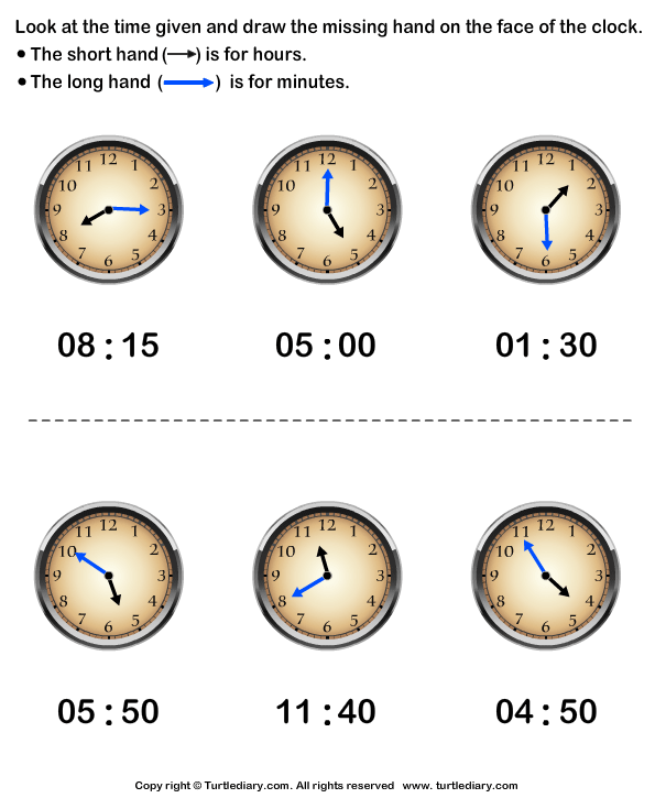 Draw Minute Hand of Clock Answer