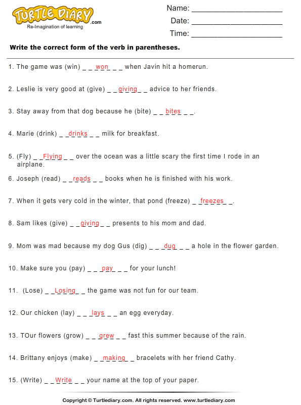 Write the Correct Form of Verb Answer