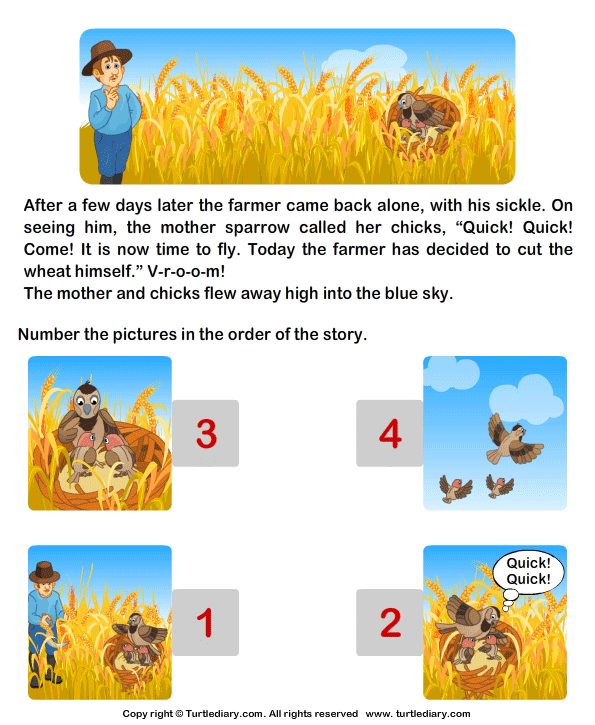 Reading Comprehension Stories Answer