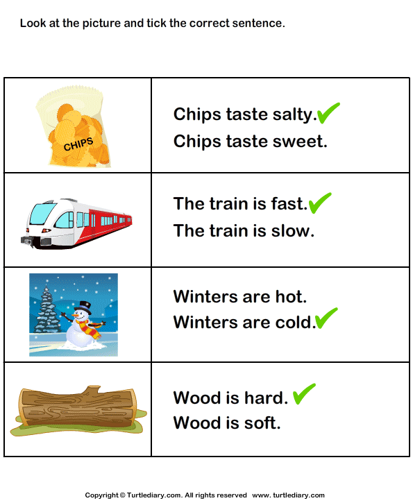 Choose the Sentence with Correct Adjective Answer
