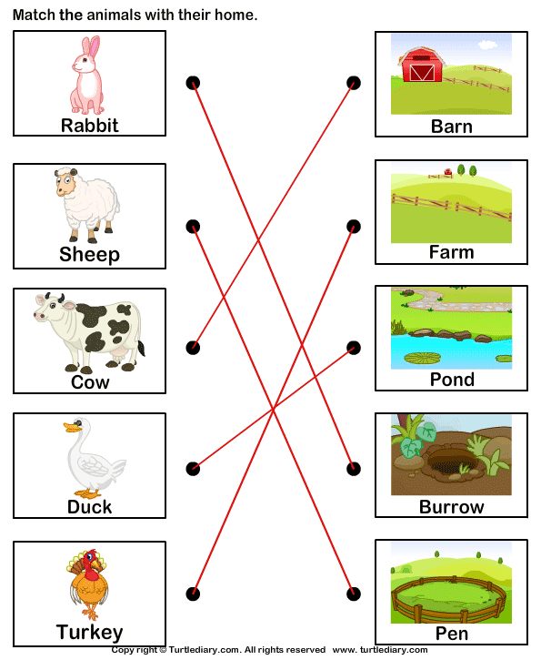 Match Farm Animals to Their Homes Answer