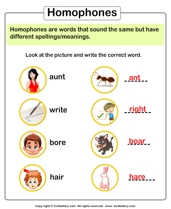 Write the Homophone of Words Answer