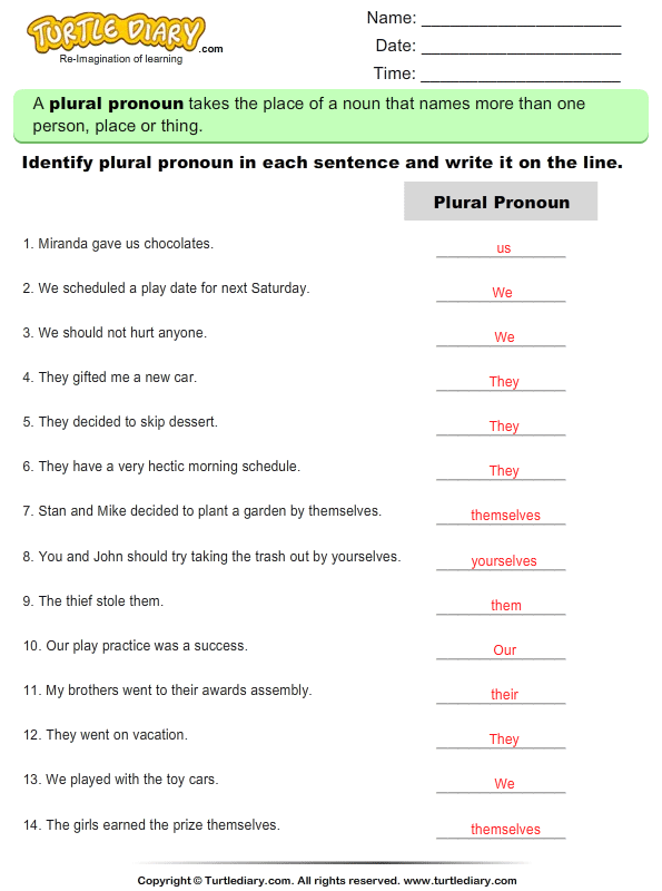 Identify Plural Pronouns Answer