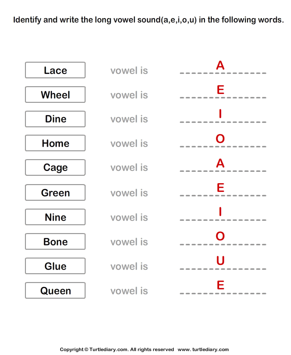 Identify the Long Vowel in Words Answer