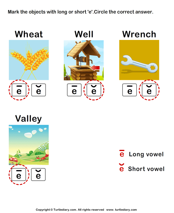 Identify the Long or Short Vowel in Words Answer