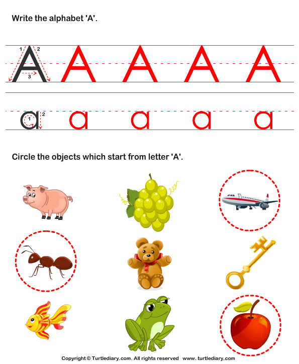 Identify Words for Letters (A-z) Answer
