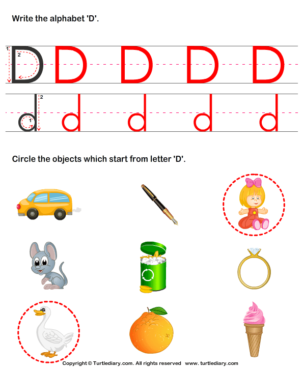 Identify Words for Letters (A-z) Answer