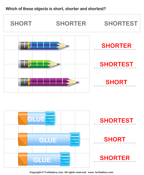 Comparing Length of Objects Answer