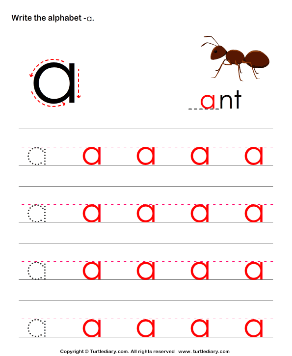 Write Letters in Lower Case (A-z) Answer