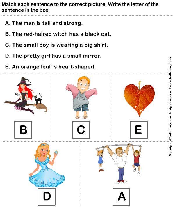 Identify Sentences to Describe Pictures Answer