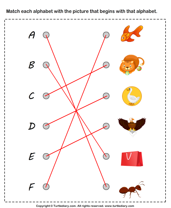 Match Alphabets to the Objects Answer