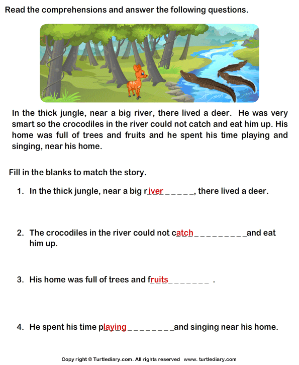Reading Comprehension Stories Answer