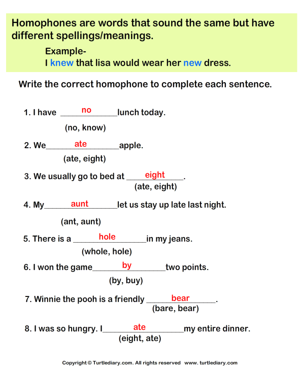 Complete the Sentences with Correct Homophone Answer