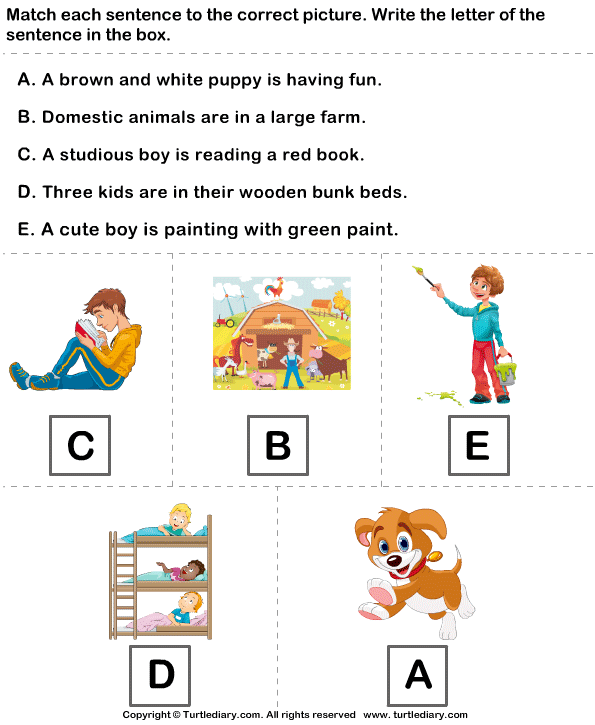 Identify Sentences to Describe Pictures Answer