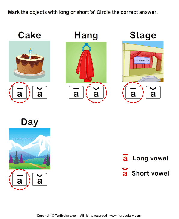 Identify the Long or Short Vowel in Words Answer