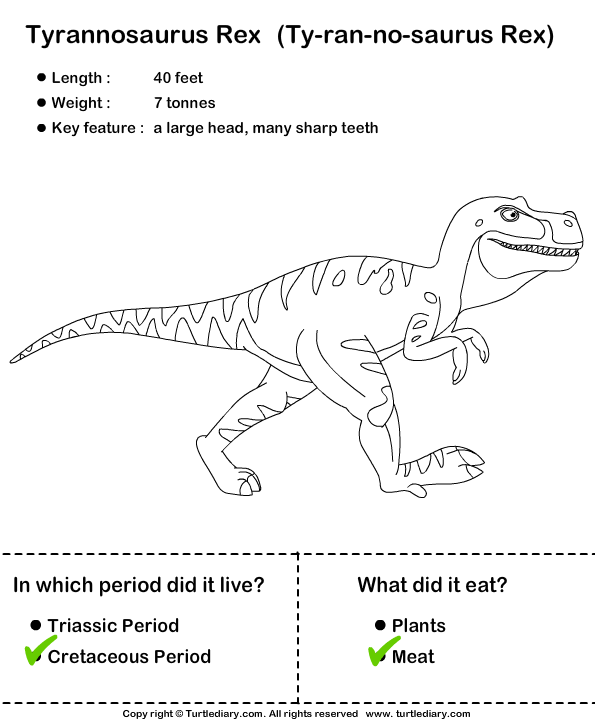 Dinosaurs - Determine the Period and Food Habits Answer
