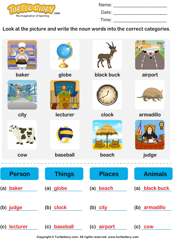 Sort Nouns as Person, Place, Animal or Thing Answer