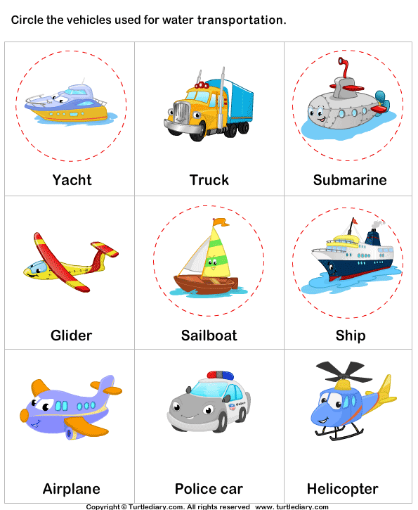 Water Transport Answer
