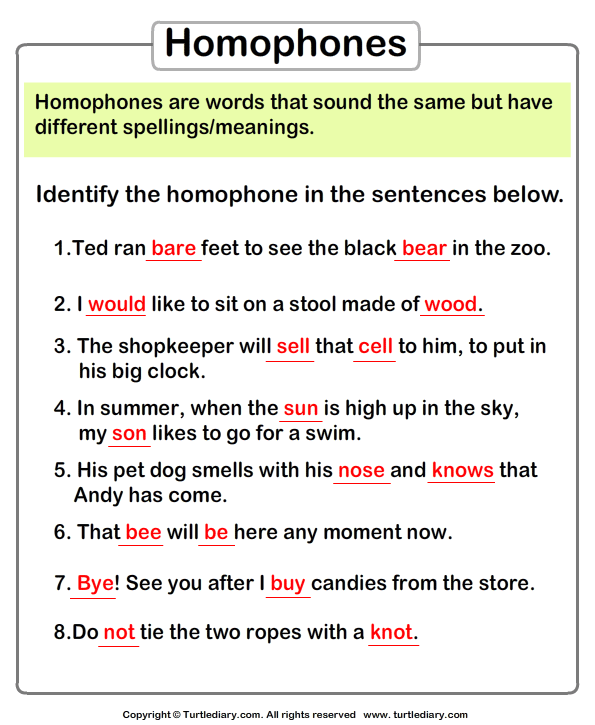 Identify Homophones Answer