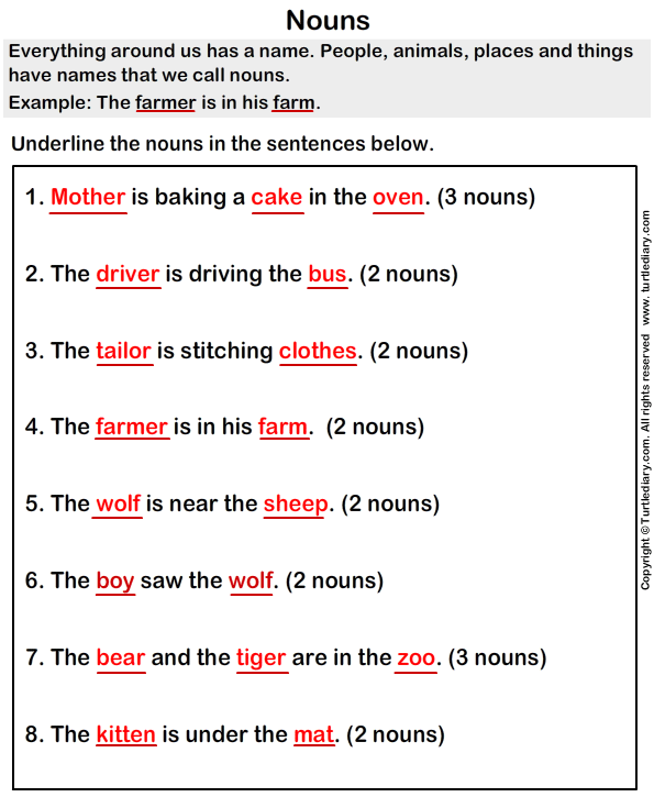 Identify Nouns Answer