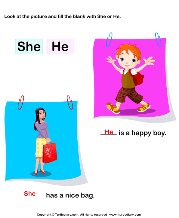 Using 'she' or 'he' Answer