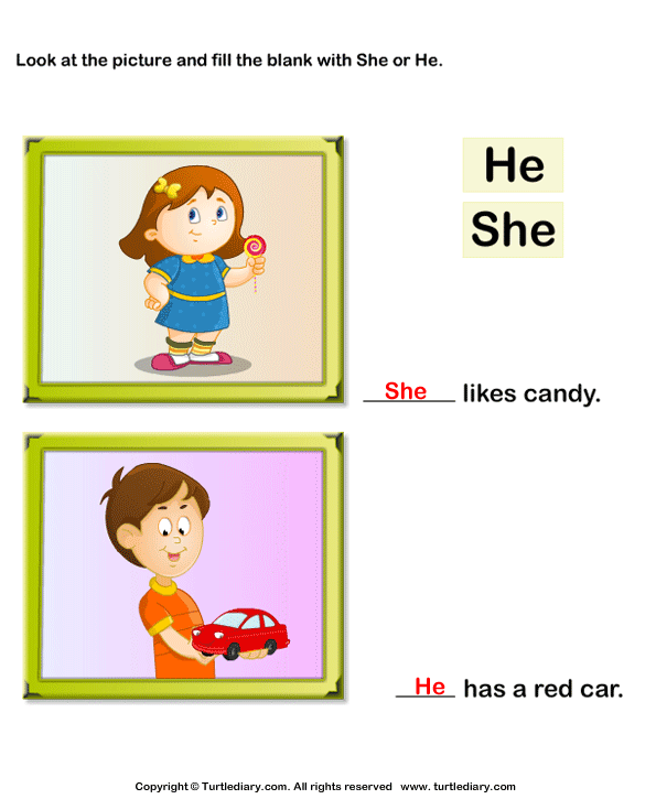 Using 'she' or 'he' Answer