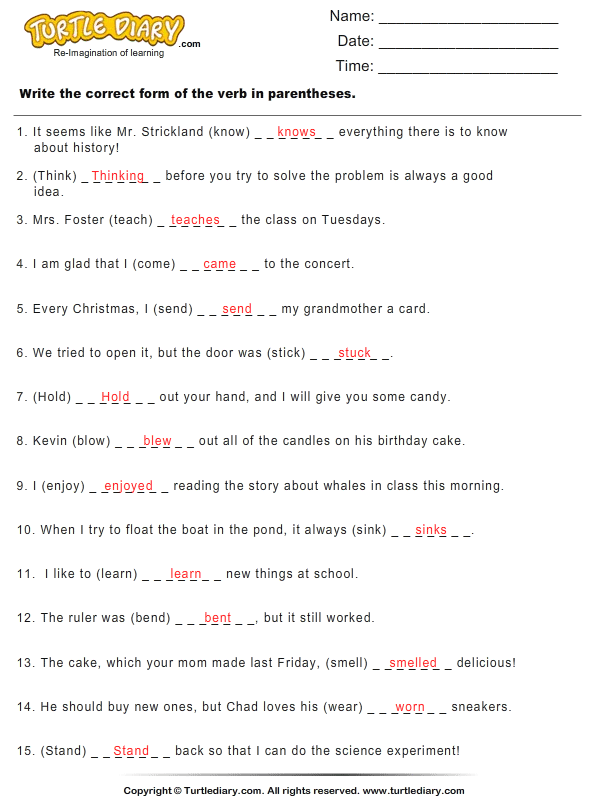 Write the Correct Form of Verb Answer