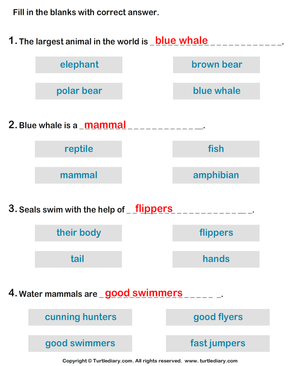 Water Mammals: Write the Correct Answer Answer