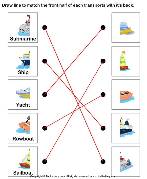 Water Transport - Match the Parts Answer