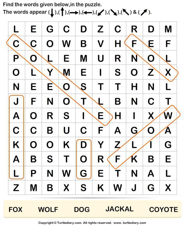 Dog Family - Find Names in a Crossword Answer